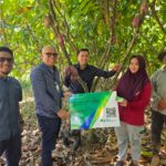 Lindungi Petani Kakao, BPJS Ketenagakerjaan Perkuat Rantai Pasok Industri Kakao Nasional