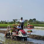 Dari Pupuk Murah hingga HPP Gabah, Jalan Menuju Swasembada Dimulai dari Petani