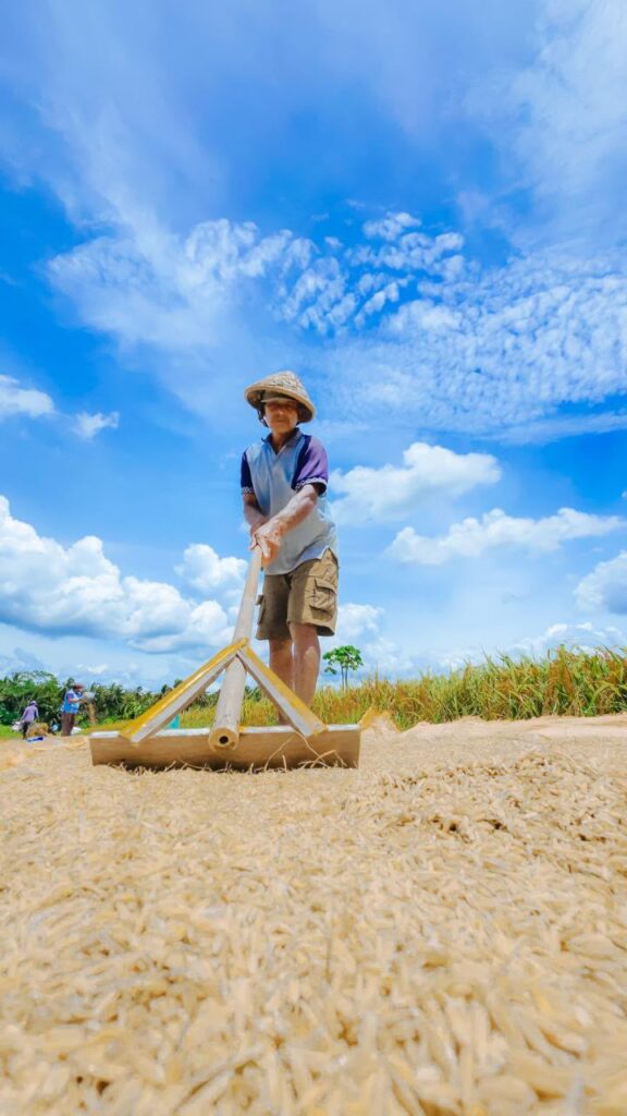 Kebijakan Berpihak kepada Petani Cetak Rekor NTP Tertinggi, Kesejahteraan Petani Terus Meningkat