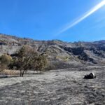 Koordinasi Kementerian Pariwisata Terkait Kebakaran di Kawasan Bromo