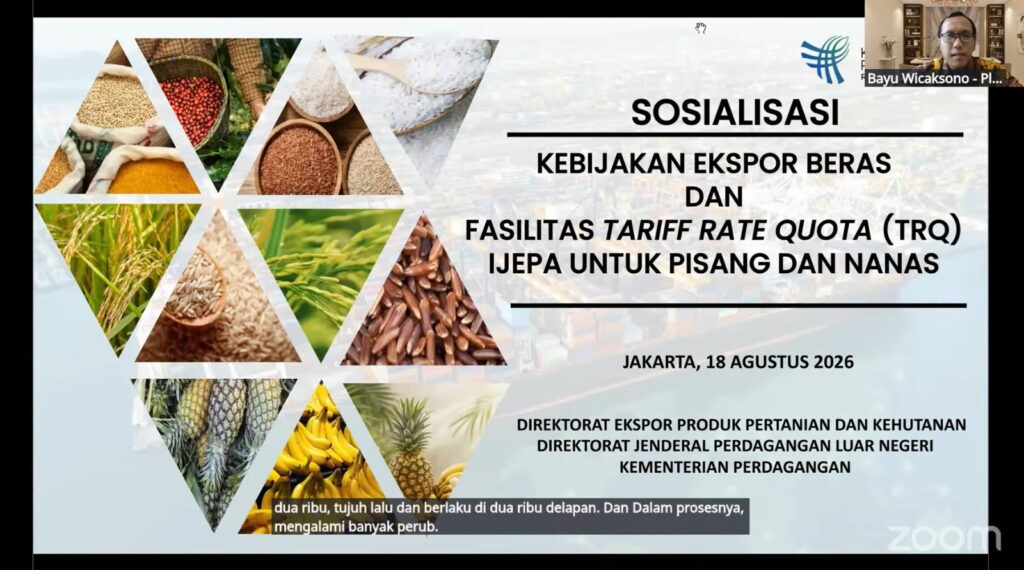 Tingkatkan Pemahaman Kebijakan, Kemendag Sosialisasikan Ketentuan Terbaru Ekspor Beras serta Fasilitas TRQ dalam rangka IJEPA untuk Pisang dan Nanas