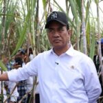 Kejar Swasembada Gula Dua Tahun, Mentan Amran Percepat Peremajaan dan Perluasan Tebu di Tulang Bawang