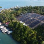 Di hadapan Presiden RI, Pertamina NRE Pamerkan PLTS Pulau Sembur Dukung Program PLTS 100 GWp