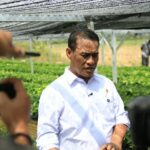 Mentan Amran Perkuat Kopi-Kakao Lampung, 2,6 Juta Bibit Disiapkan untuk 18 Ribu Hektare