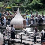 Wisata Alam Lembang Park Zoo Bandung, Destinasi Edukasi yang Populer