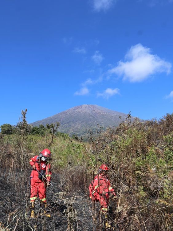 Respons Cepat, Manggala Agni dan Tim Gabungan Padamkan Kebakaran 30 Hektare di TN Gunung Rinjani
