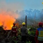 Dukung Penanganan Karhutla di Berau, Kementerian PU Kerahkan Peralatan dan Pasokan Air