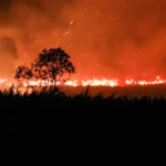 Berebut Makna Kebakaran Hutan