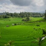 Lampaui Target, LP2B Capai 87,63% di Momen Peringatan 66 Tahun UUPA