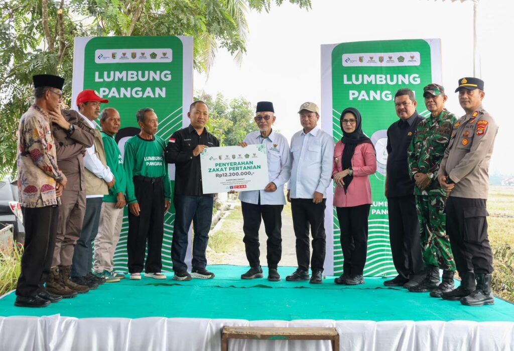 Panen Raya Lumbung Pangan BAZNAS di Pesawaran, Petani Tunaikan Zakat Pertanian Rp12,2 juta