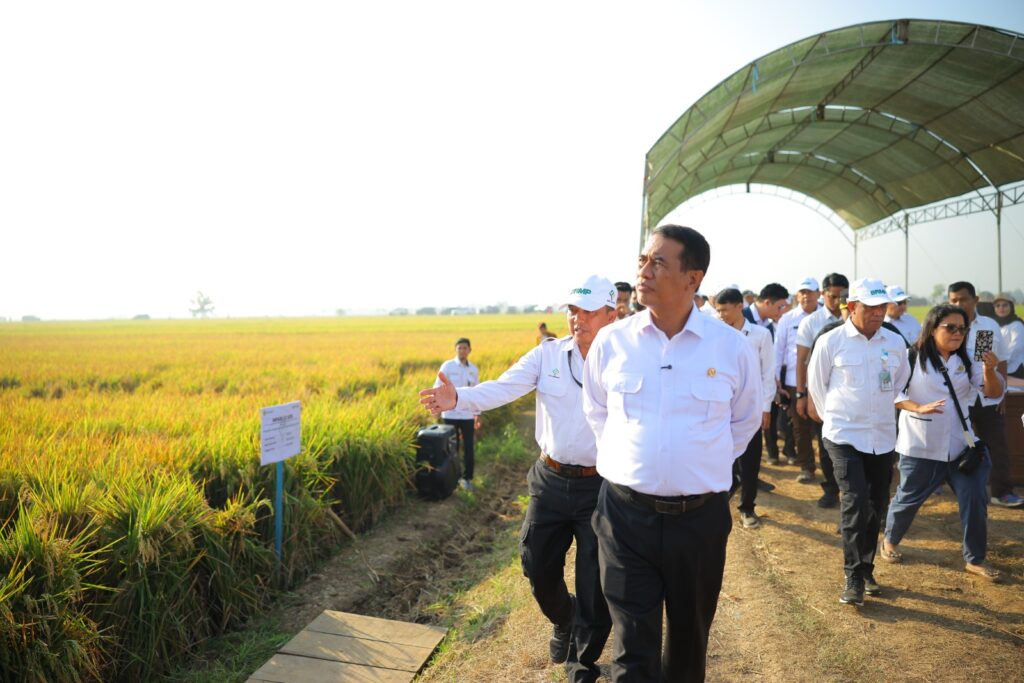 Produktivitas PM-AAS Tembus Hingga 13 Ton, Mentan Amran: Jadi Solusi Hadapi Alih Fungsi Lahan