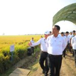 Produktivitas PM-AAS Tembus Hingga 13 Ton, Mentan Amran: Jadi Solusi Hadapi Alih Fungsi Lahan