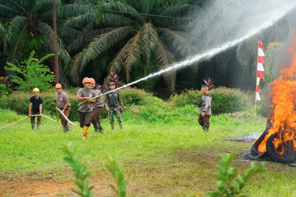 PTPN IV PalmCo Perkuat Jaring Pengaman Sosial, Ratusan Pekerja Rentan Kalbar Terima Jaminan Ketenagakerjaan