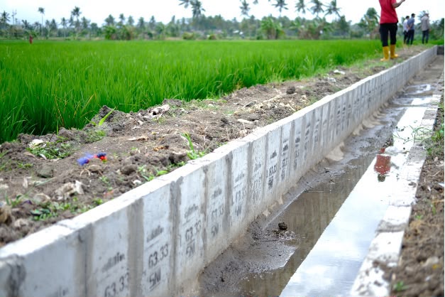 Kementan Bangun 999 Jaringan Irigasi Tersier, Jaga Sawah Jabar-Banten Tetap Produktif