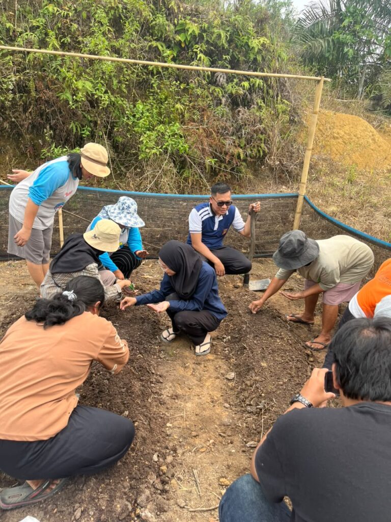 Dorong Ketahanan Pangan, Transmigran Gerbang Mas Perkasa dan TEP UI Sulap Lahan Tandus Jadi Pekarangan