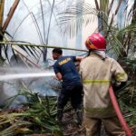 Perkembangan Situasi dan Penanganan Bencana di Tanah Air 8 September 2026