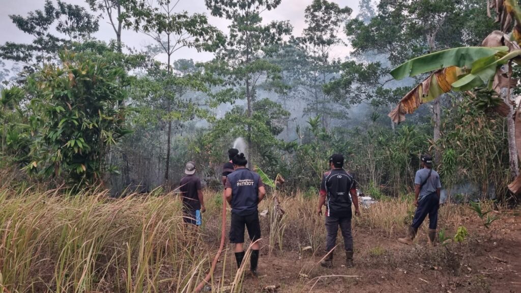 Bahu-Membahu Atasi Karhutla di Merauke, TEP UGM dan Warga Bupul Indah Selamatkan Permukiman