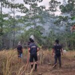 Bahu-Membahu Atasi Karhutla di Merauke, TEP UGM dan Warga Bupul Indah Selamatkan Permukiman