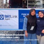 Berkat Holding Ultra Mikro, Pemilik Laundry di Kalimantan Ini Sukses Kembangkan Usaha dari Mekaar jadi BRILinkAgen