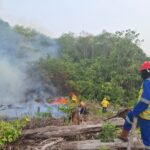 Tindak lanjut Arahan Presiden, Kementerian PU Dukung Penanganan Karhutla di Kaltara, Kaltim dan Malut
