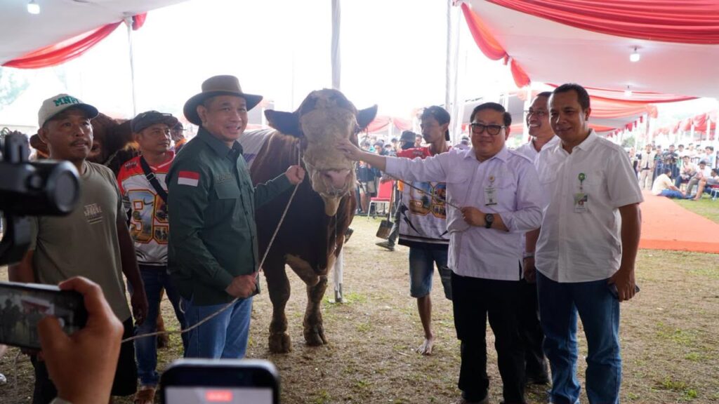 Kementan Dorong Lompatan Produksi Daging, Kontes Sapi APPSI Jadi Etalase Ternak Unggul